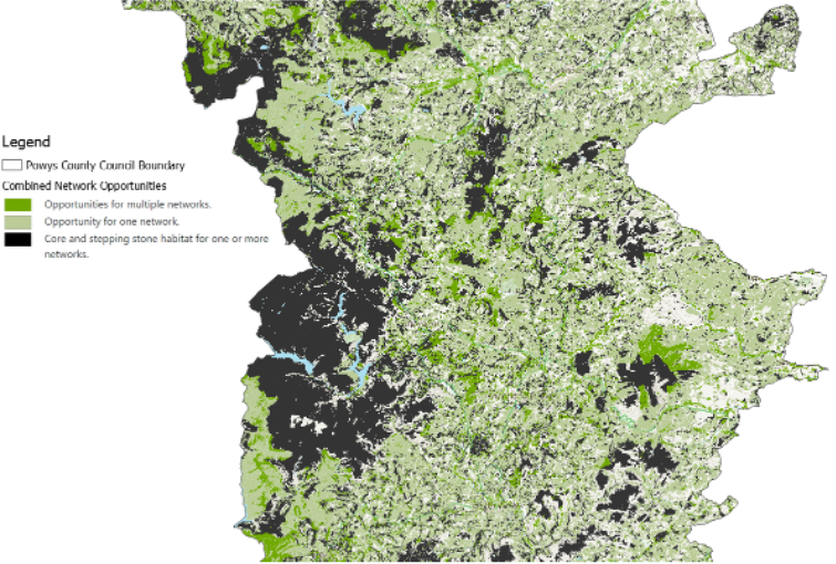 Map of Mid Powys combined network opportunities